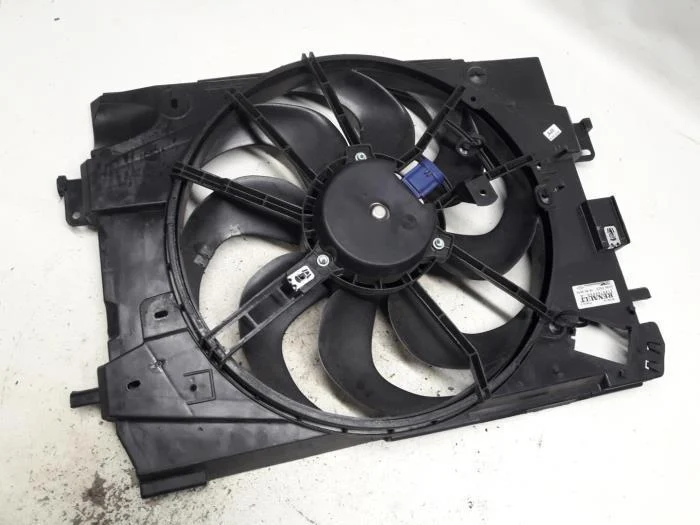 Radyator Fan Grubu 214818009R